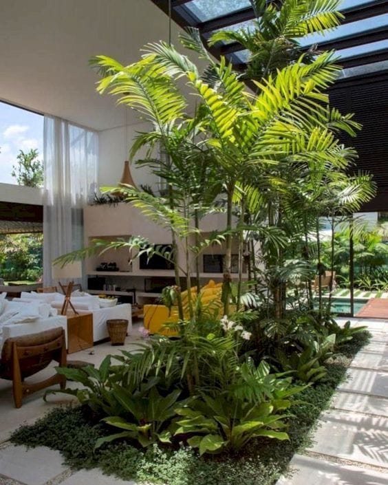 indoor tropical garden 