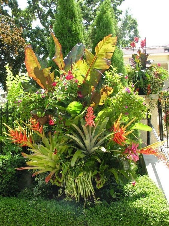 Beautiful Tropical Foliage