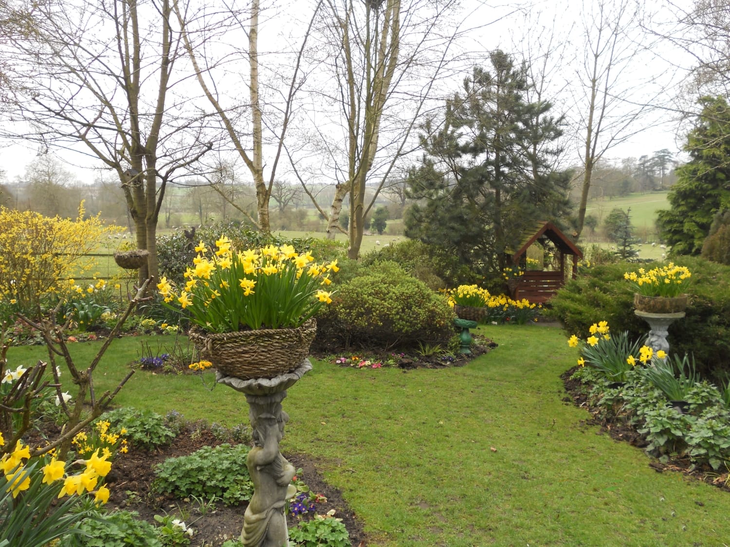 Bring in a Group of Daffodils