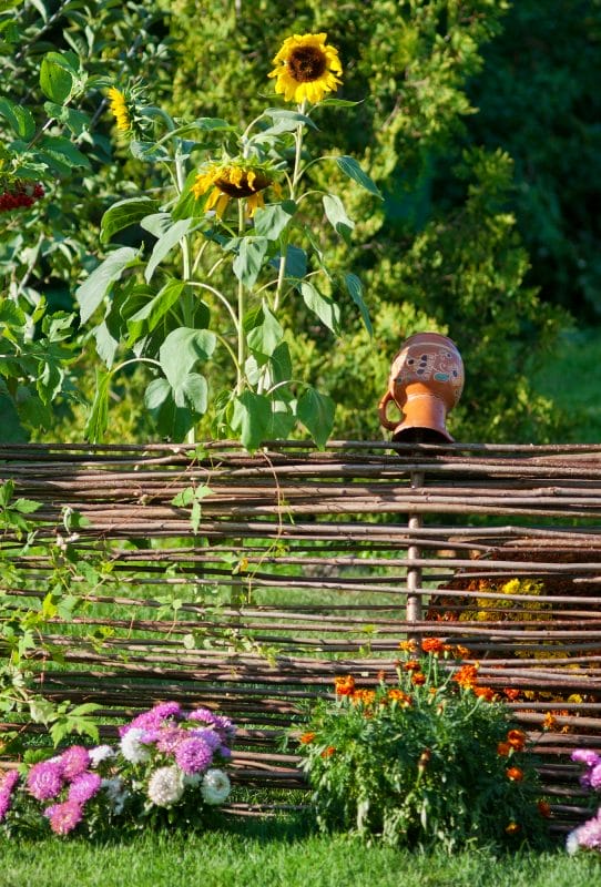 Branches Fence