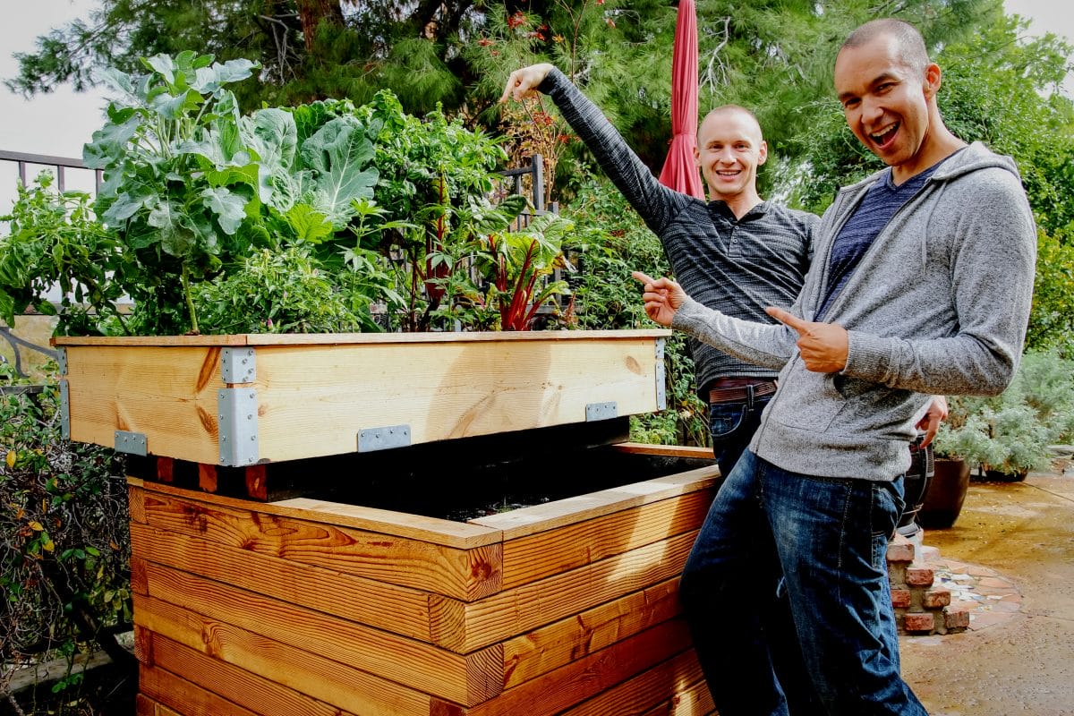 DIY Enclosed Backyard Aquaponic