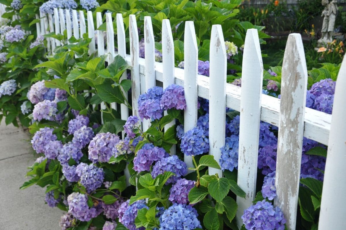 Wooden White Picket Fence