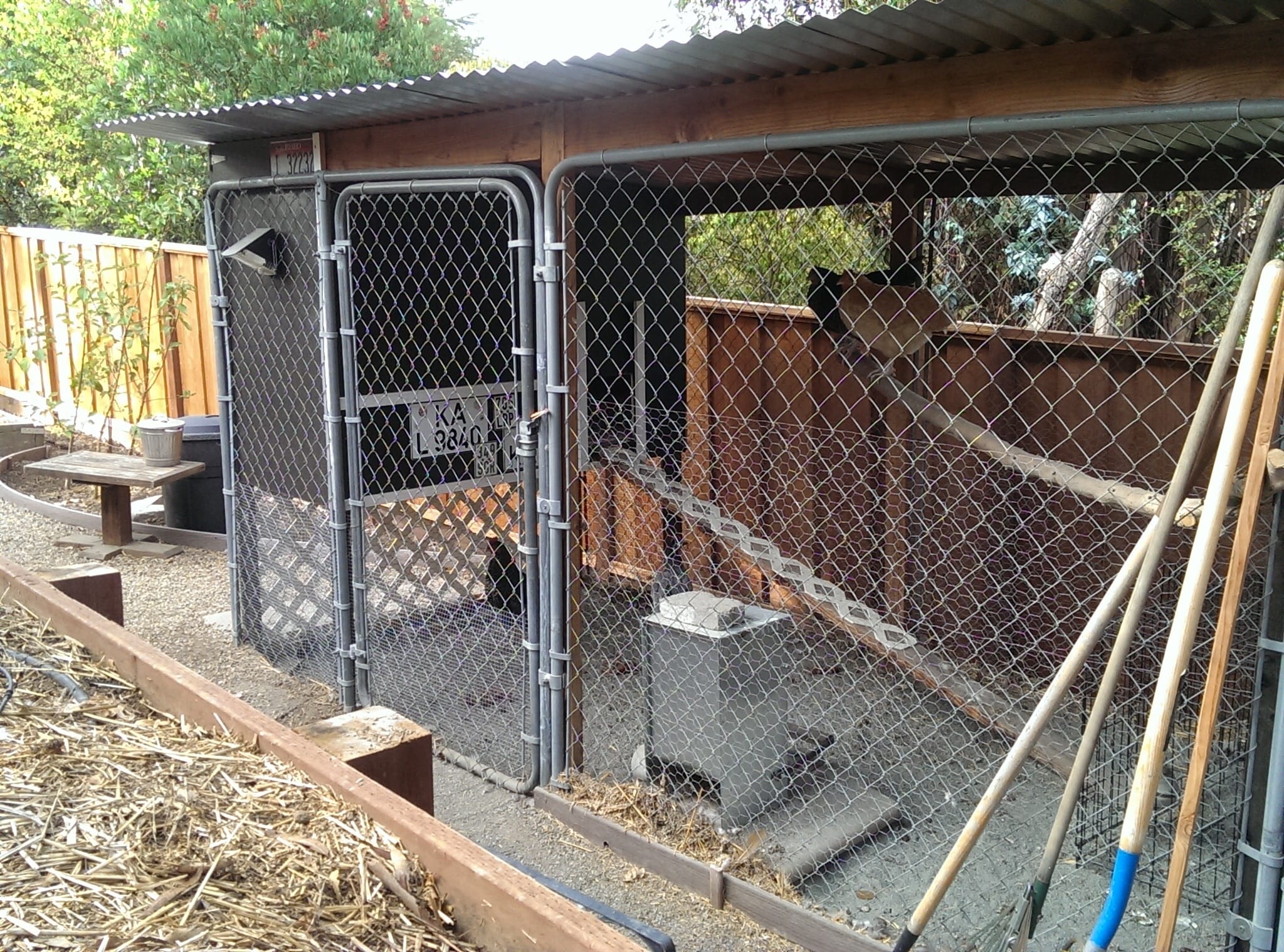 20 Chicken Fence Ideas to Manage Your Run