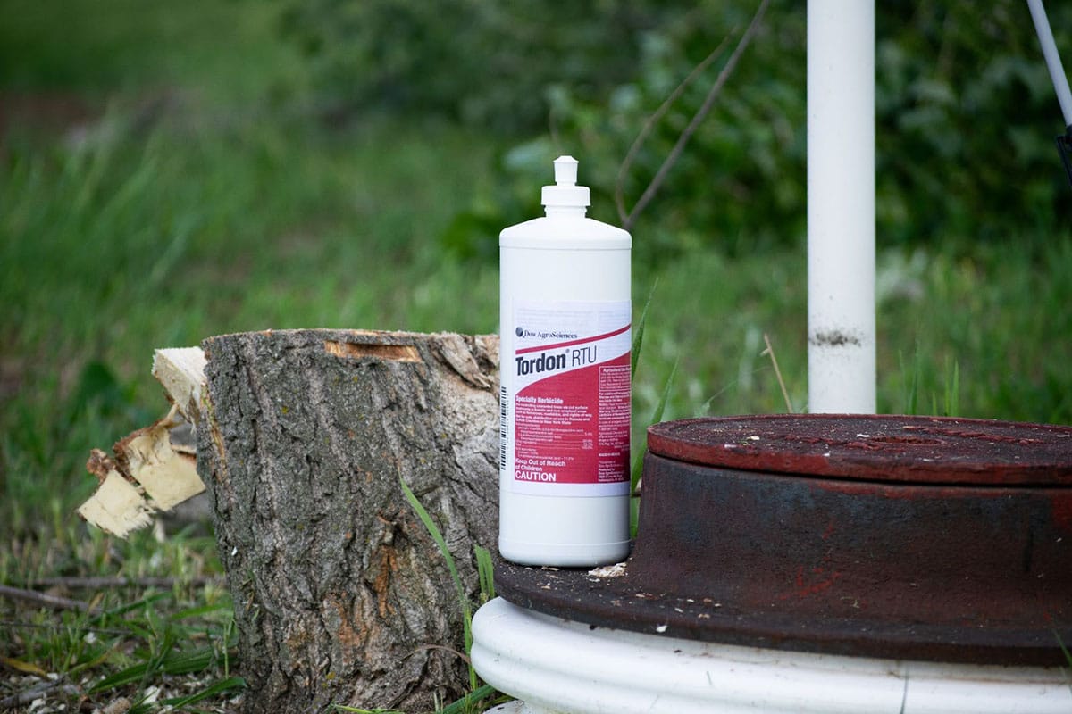 6 Effective Ways to Kill Tree Stumps for Good