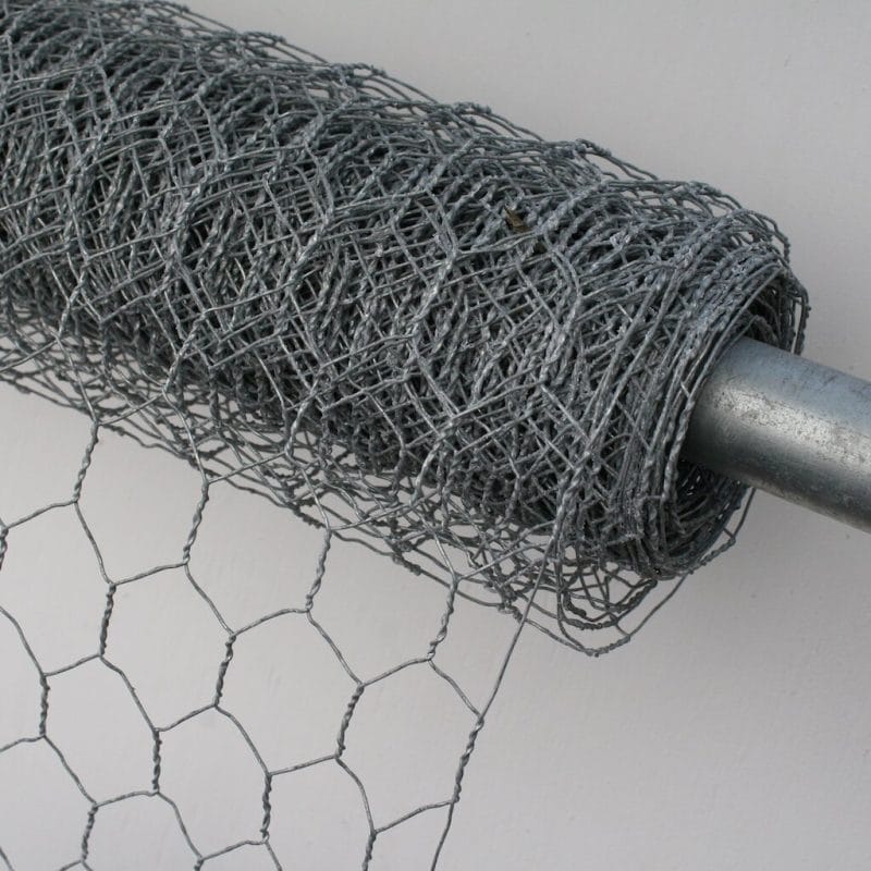 How to Stop Cats from Pooping in My Yard Permanently