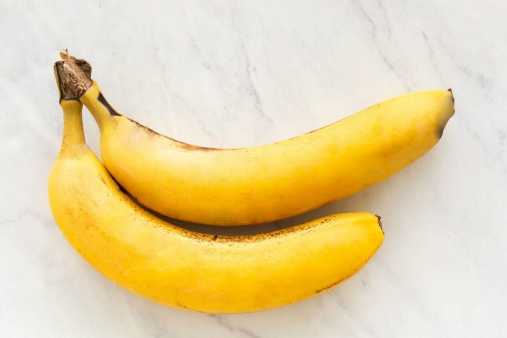 How to Stop Cats from Pooping in My Yard Permanently